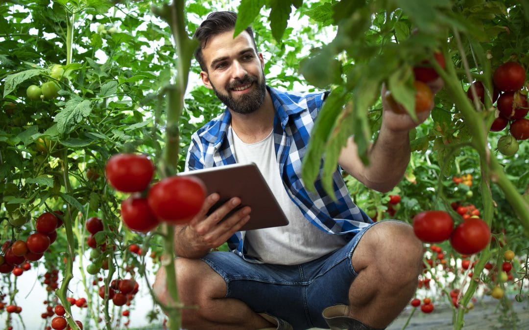 Precision agriculture and automatic irrigation in organic crops with Libelium’s IoT technology